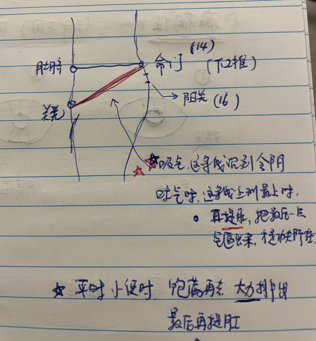 筋缩的作用图片