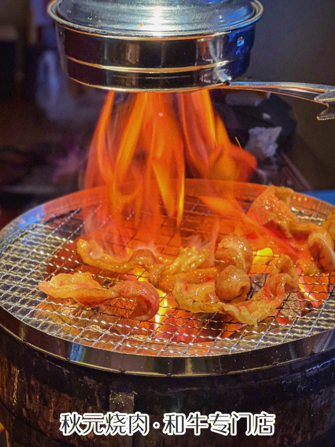 湛江森林公园烧烤场图片