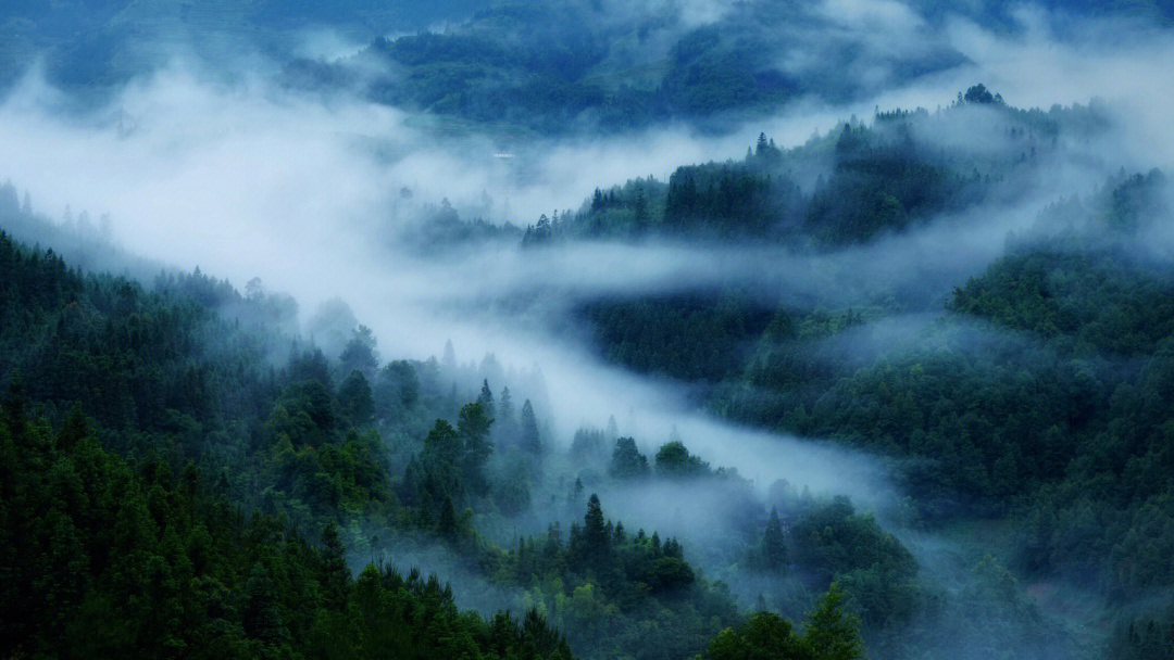 藏在这月亮山里,我拿起相机记录,记录这山间美好,当晨雾弥漫山谷,感叹