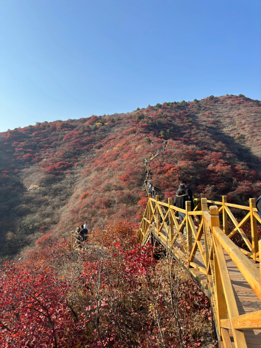 西凌井旅游景点图片