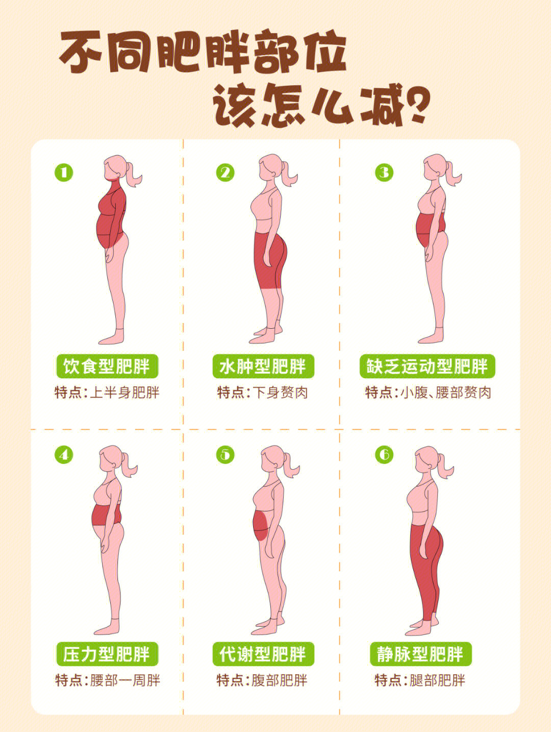 饮食推荐来啦不同肥胖部位的减肥方法