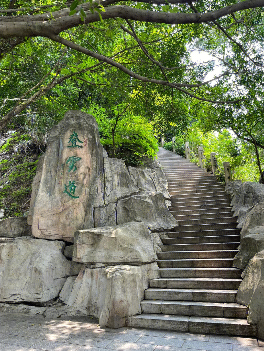 梧桐山几a景区图片