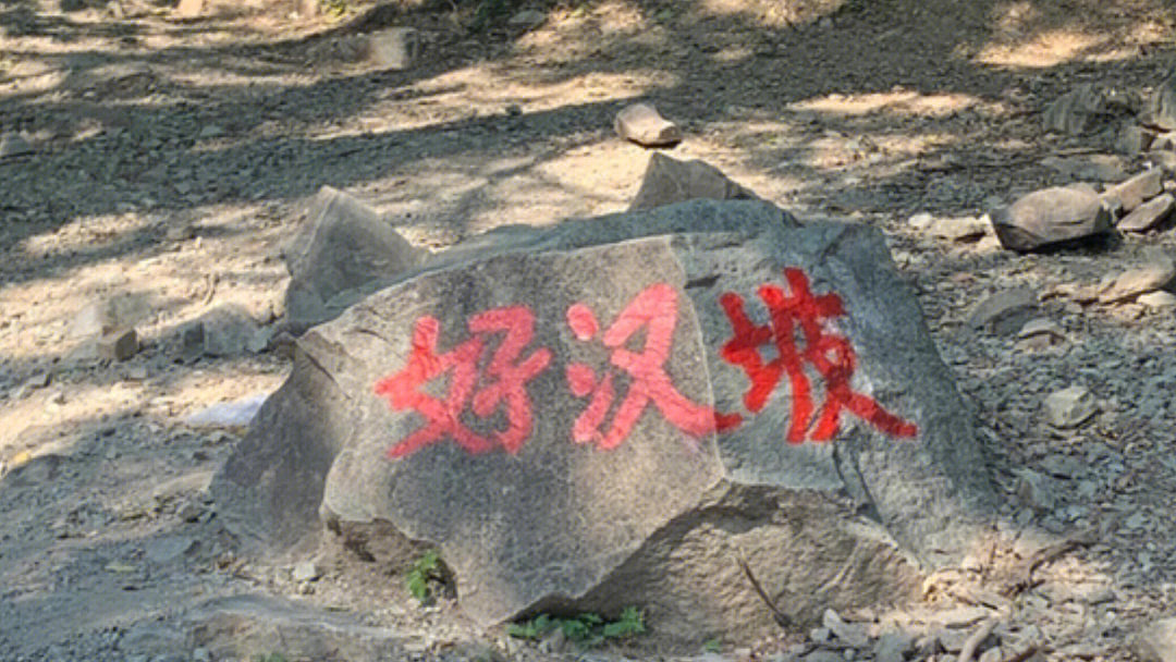 香山好汉坡猴子爬图片