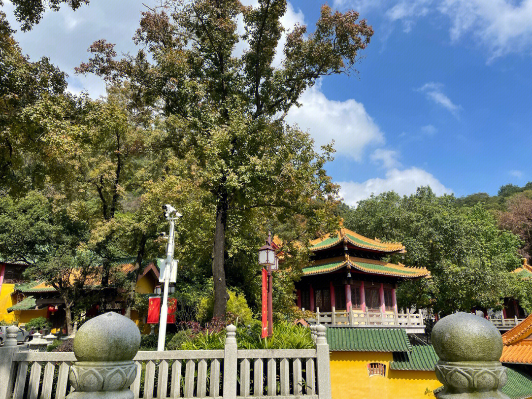 圭峰山玉台寺电话图片