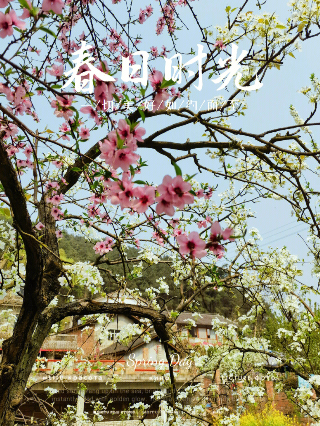 金堂梨花沟风景区电话图片