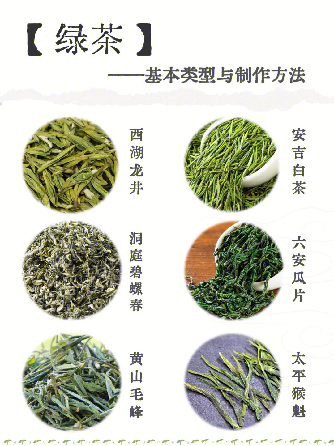 95【绿茶初制加工工艺与品质特点】绿茶是一种不发酵茶类,由采摘来