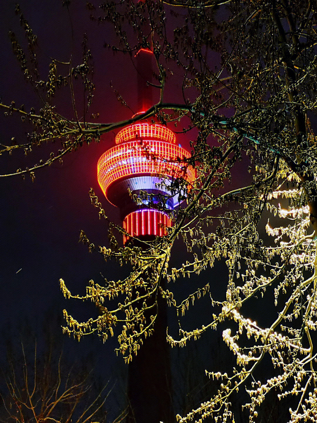 黄金100秒白雪雪图片