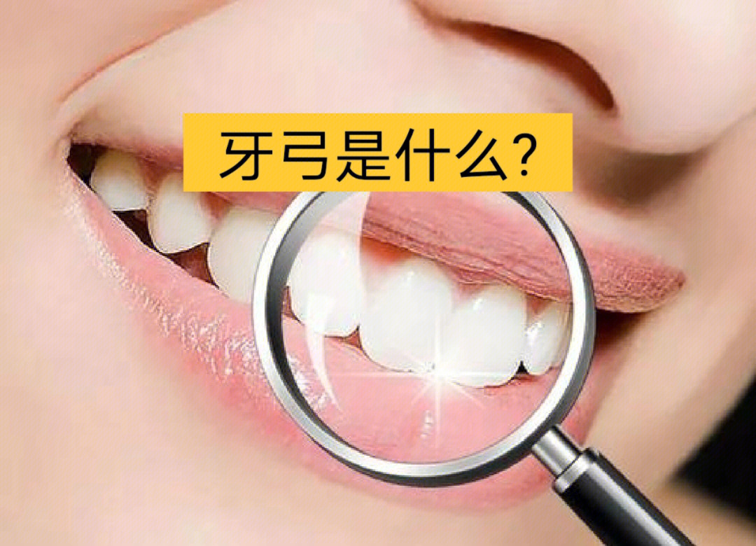 牙齿按照一定的顺序,方向和位置排列成弓形,形成牙弓,也叫牙列
