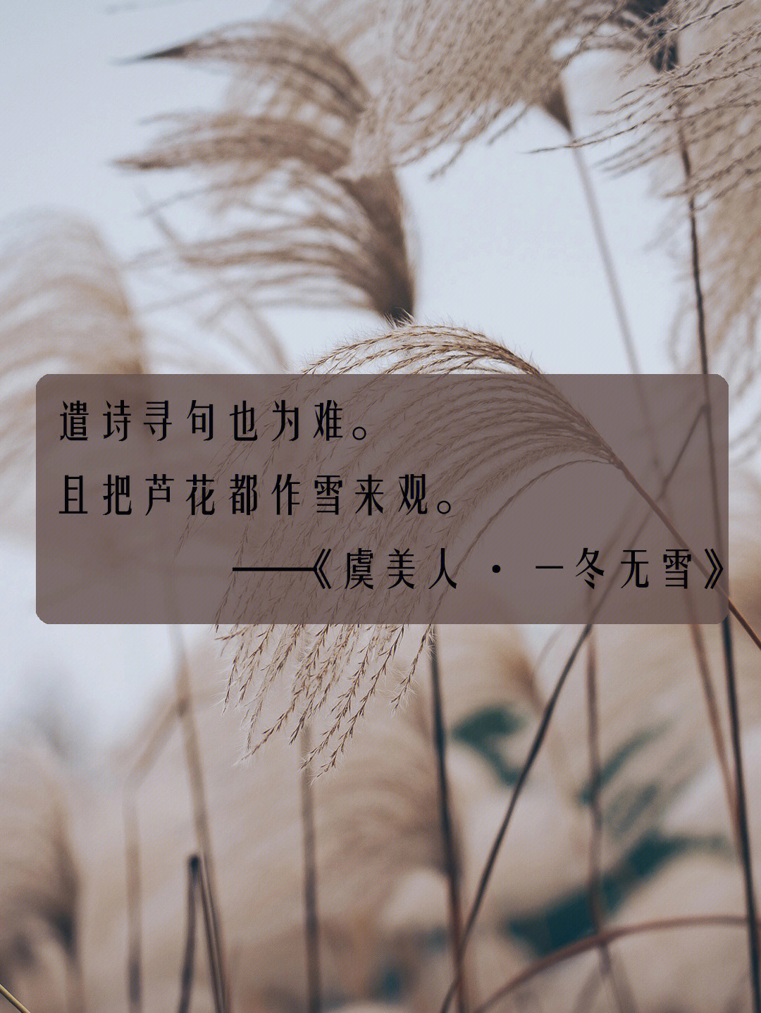 朱悦菼图片