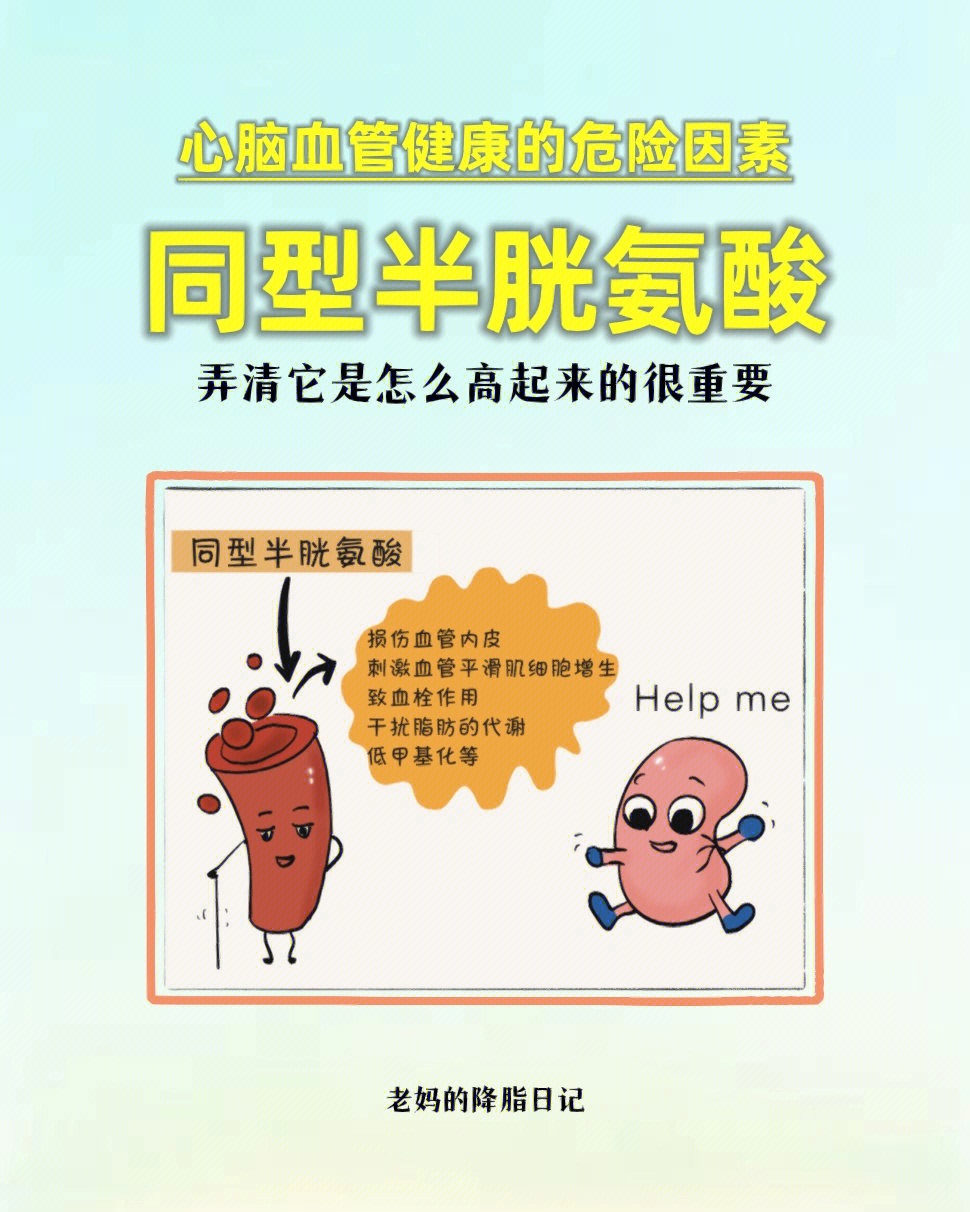 老铁在询问降脂方案时问起关于同型半胱氨酸的事,的确,这个指标跟血压