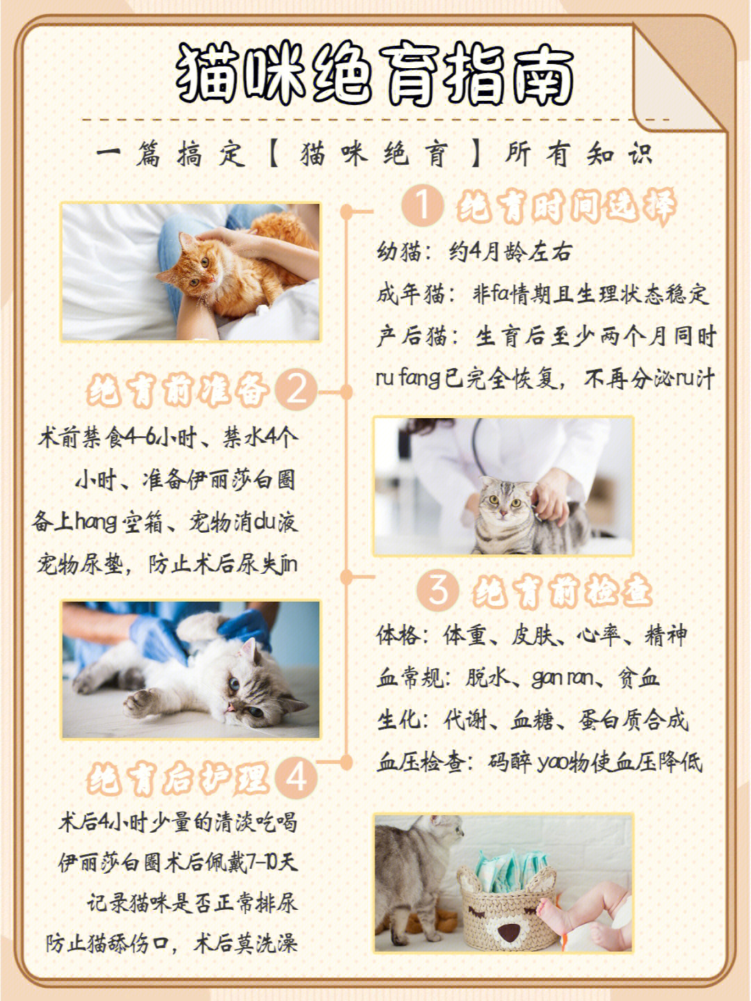 猫咪为什么要绝育图片