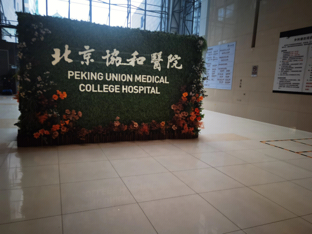 北京协和医院东院图片