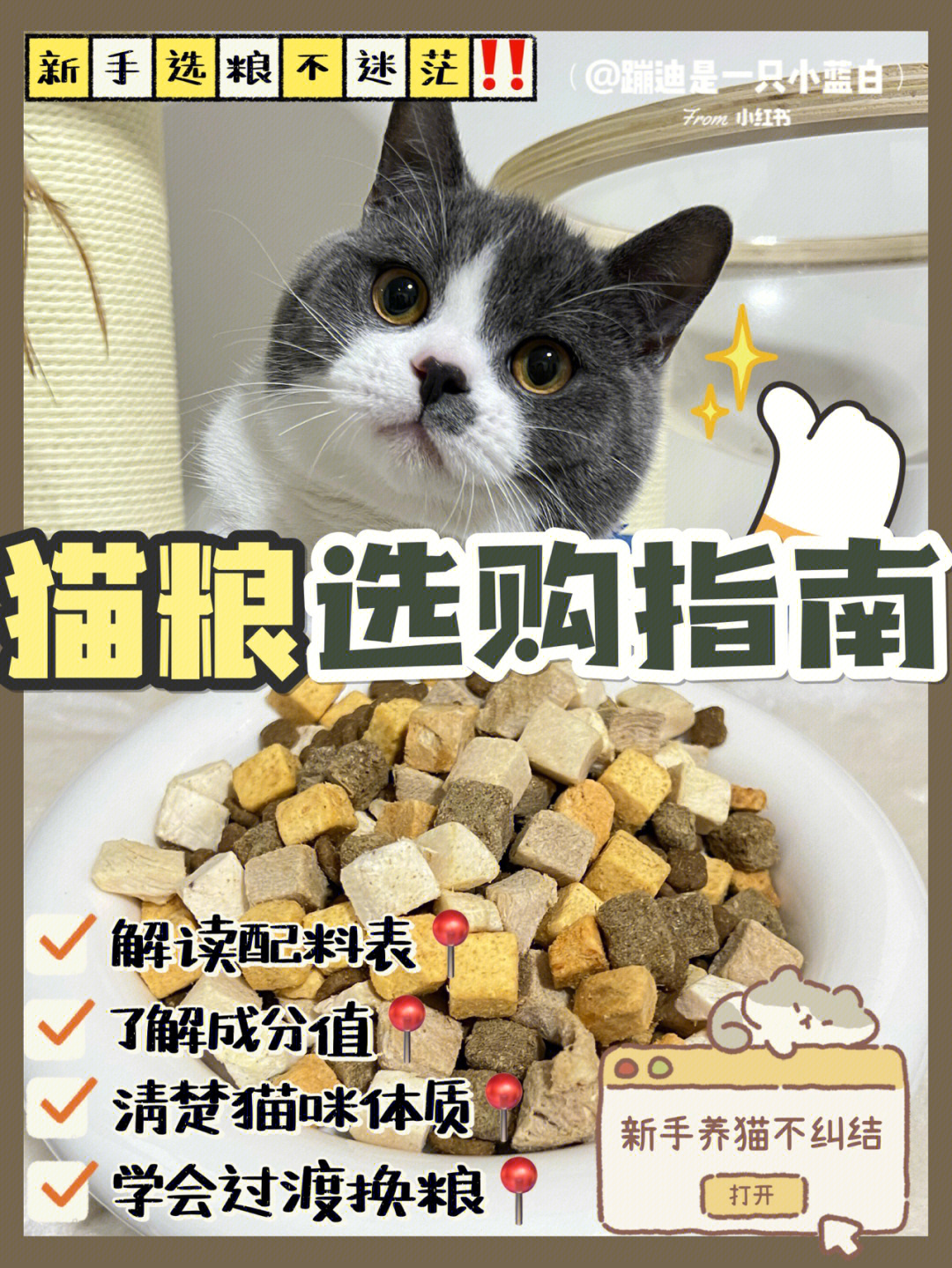 换猫粮怎么过渡图片