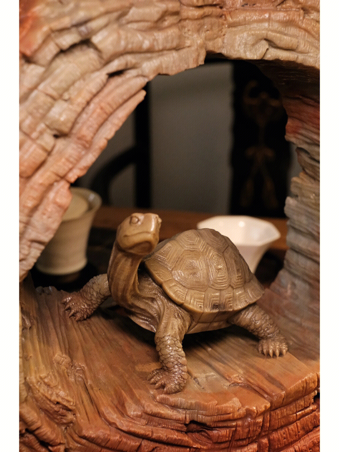 盲龟值木图片