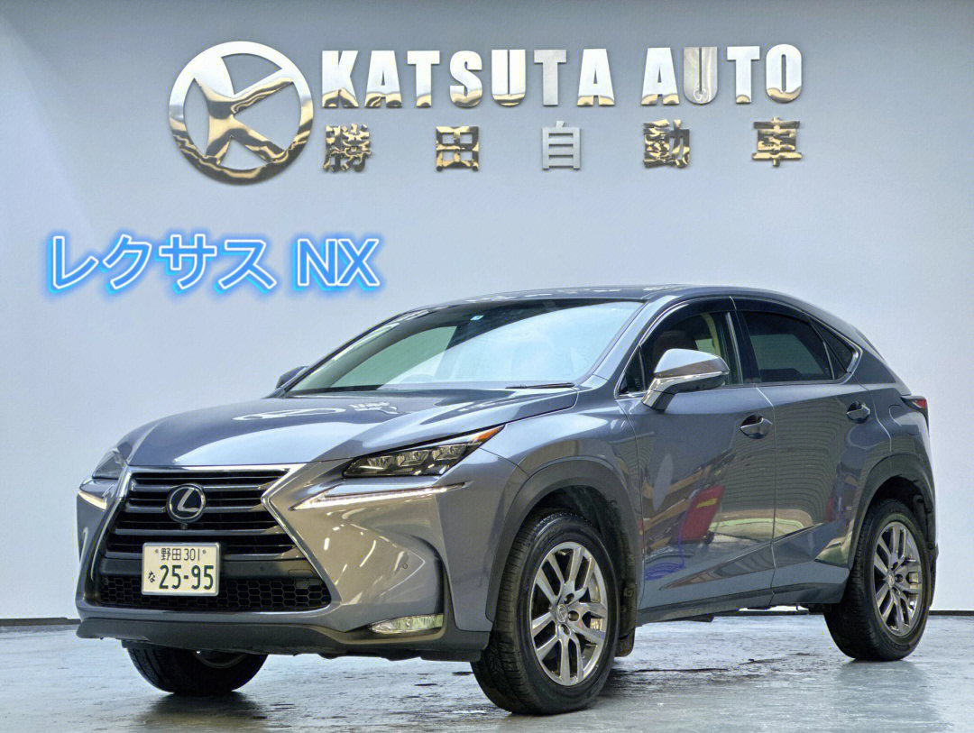 nx200t雷克萨斯参数图片