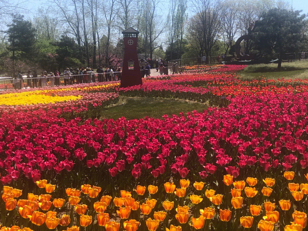 石家庄市植物园线路图片