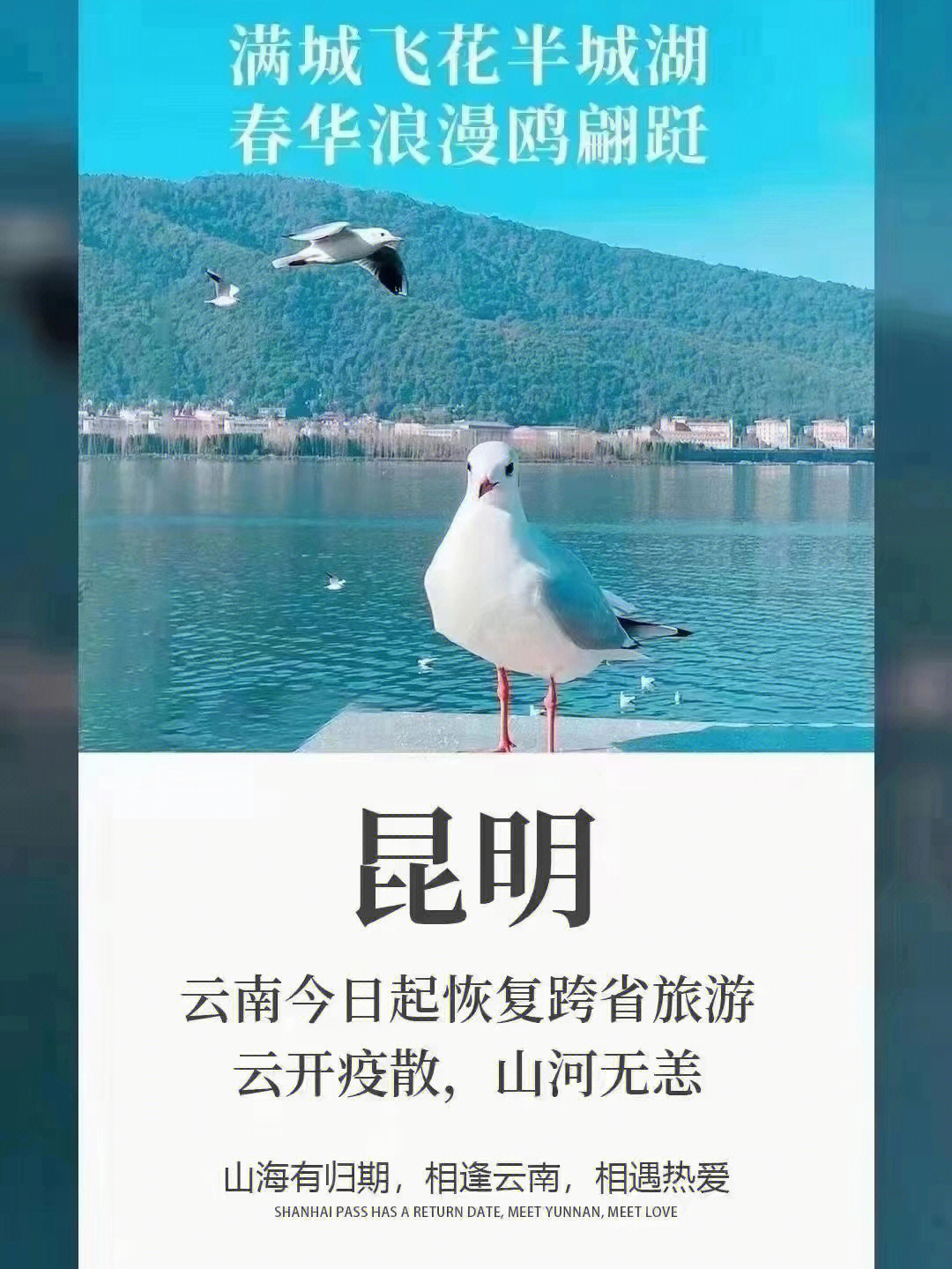 山河无恙疫情图片