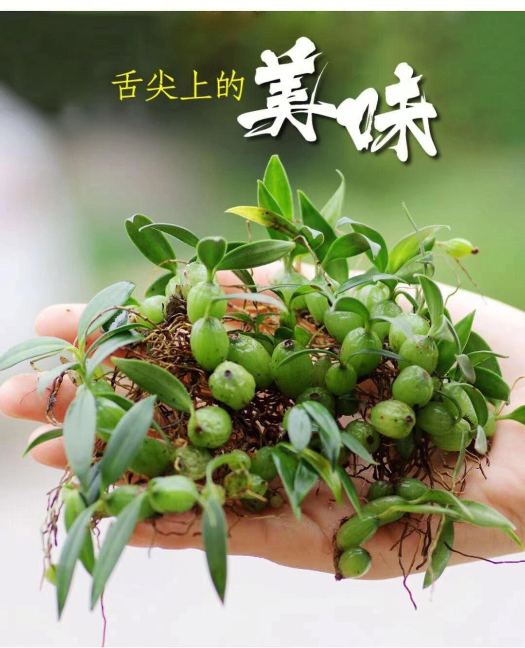 石仙桃怎么吃图片