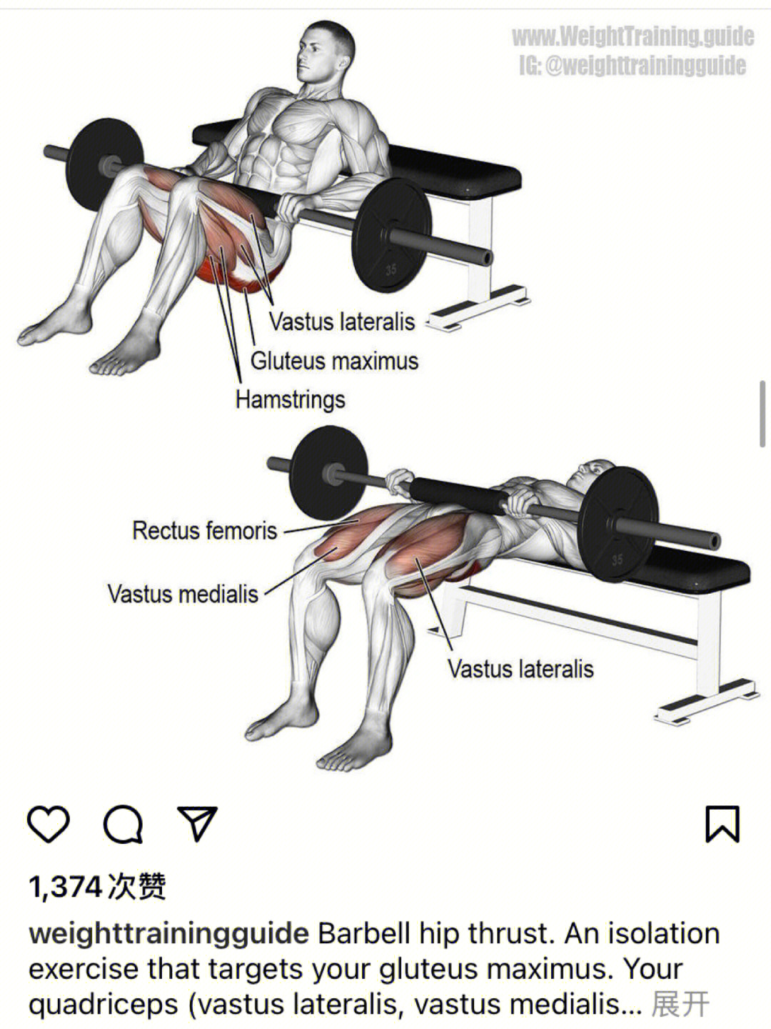 臀桥锻炼肌肉图解图片