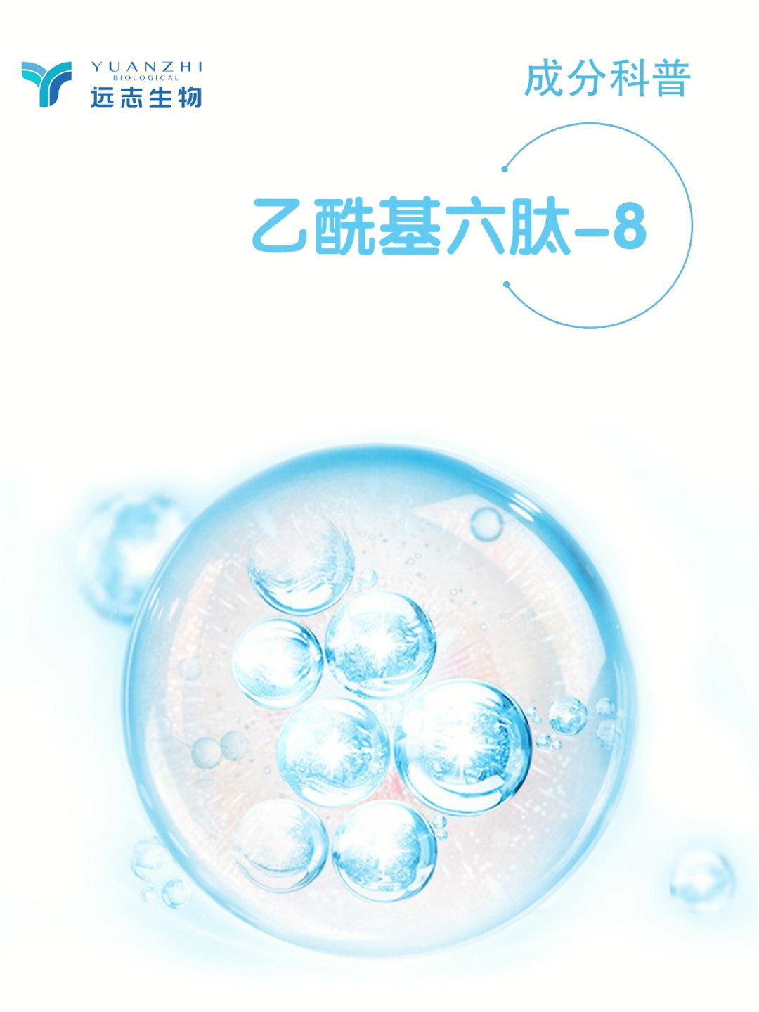 带您了解核心成分乙酰基六肽8