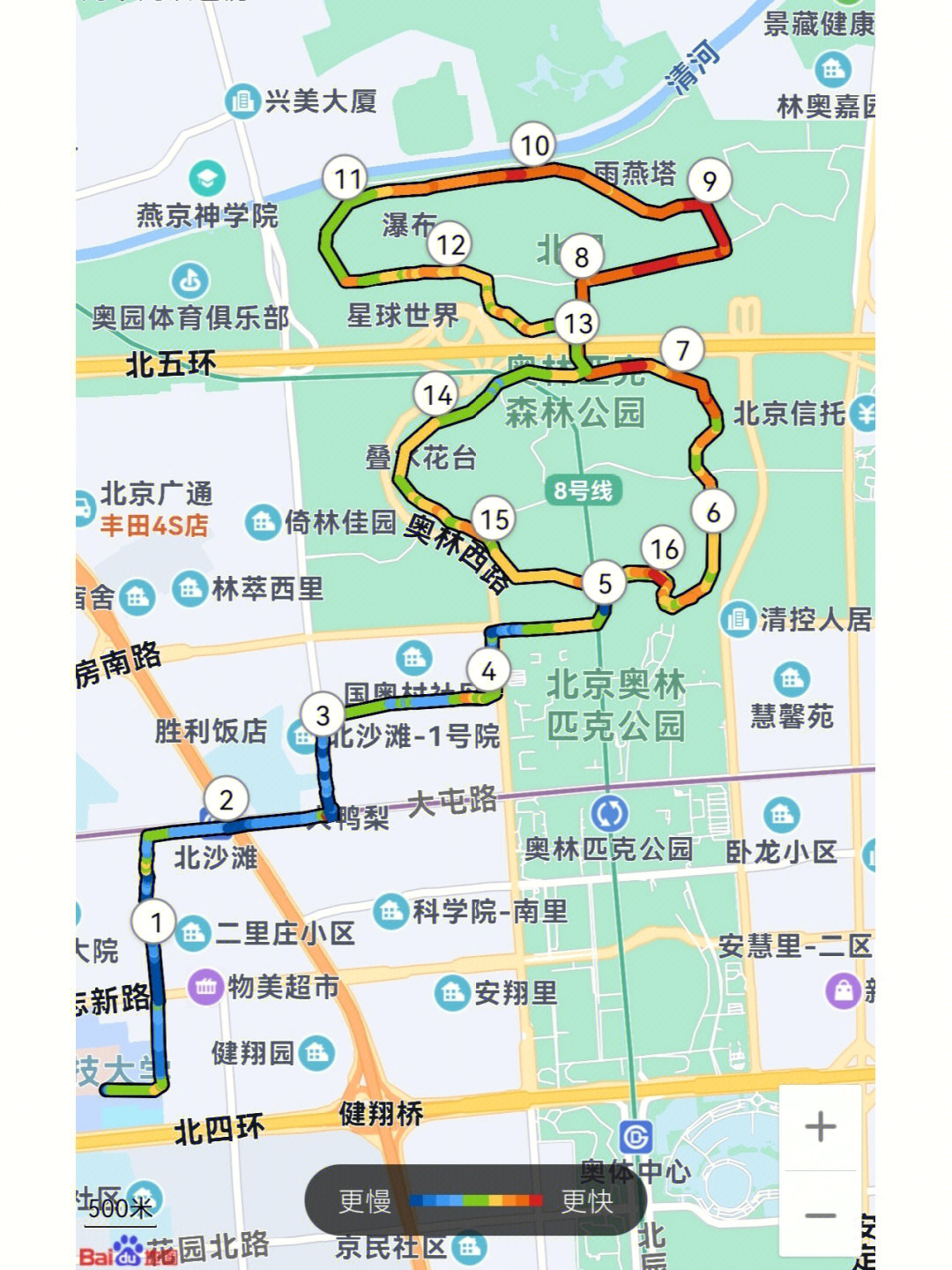 奥森观鸟路线图片