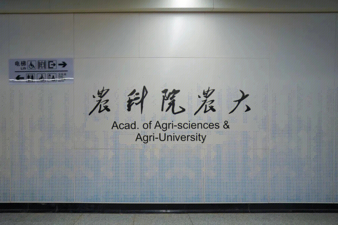 湖南农业大学北门照片图片