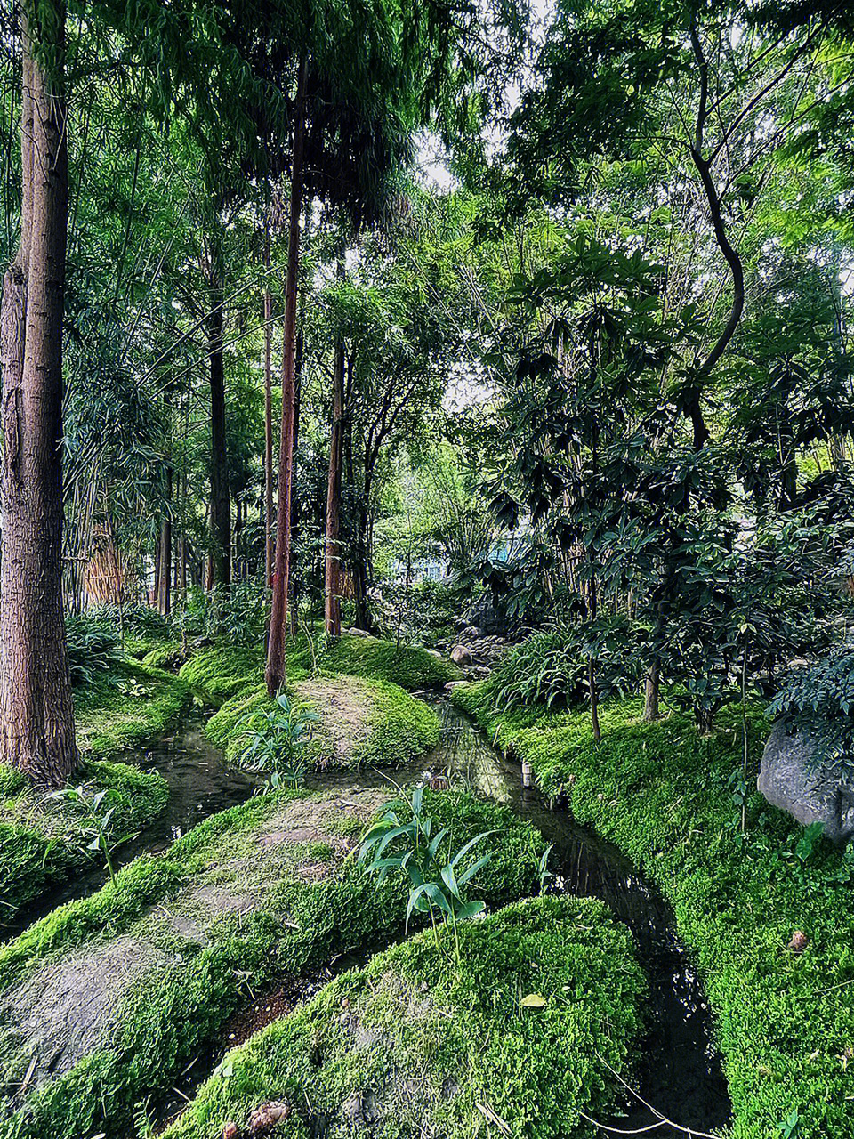 成都公园府南河活水公园