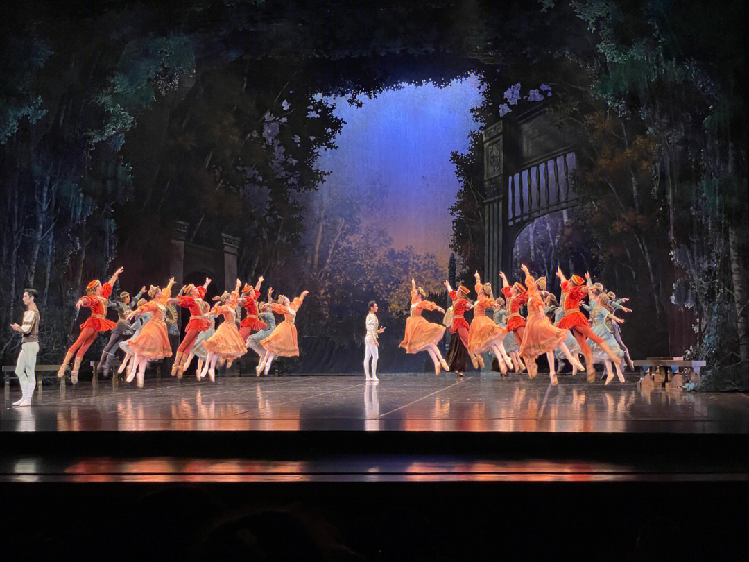 中央芭蕾舞团程伯佳图片