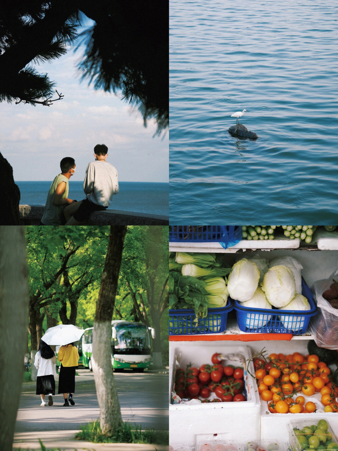 黄油夏日回忆图片