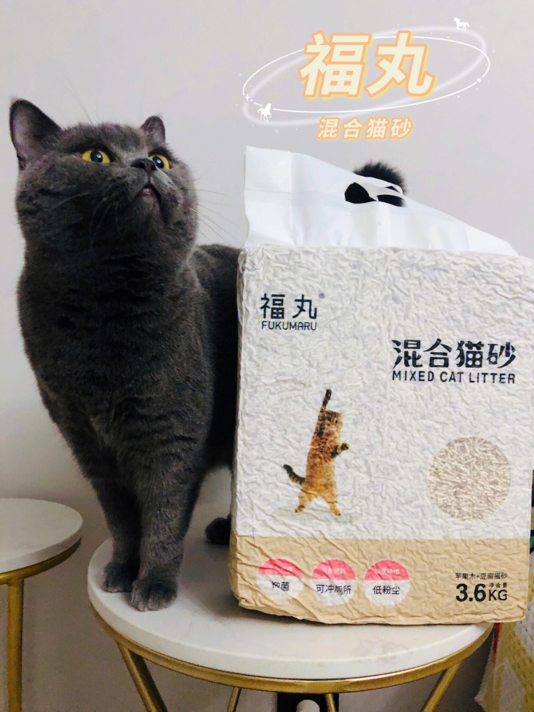 除臭猫砂铲屎官福音福丸苹果木猫砂