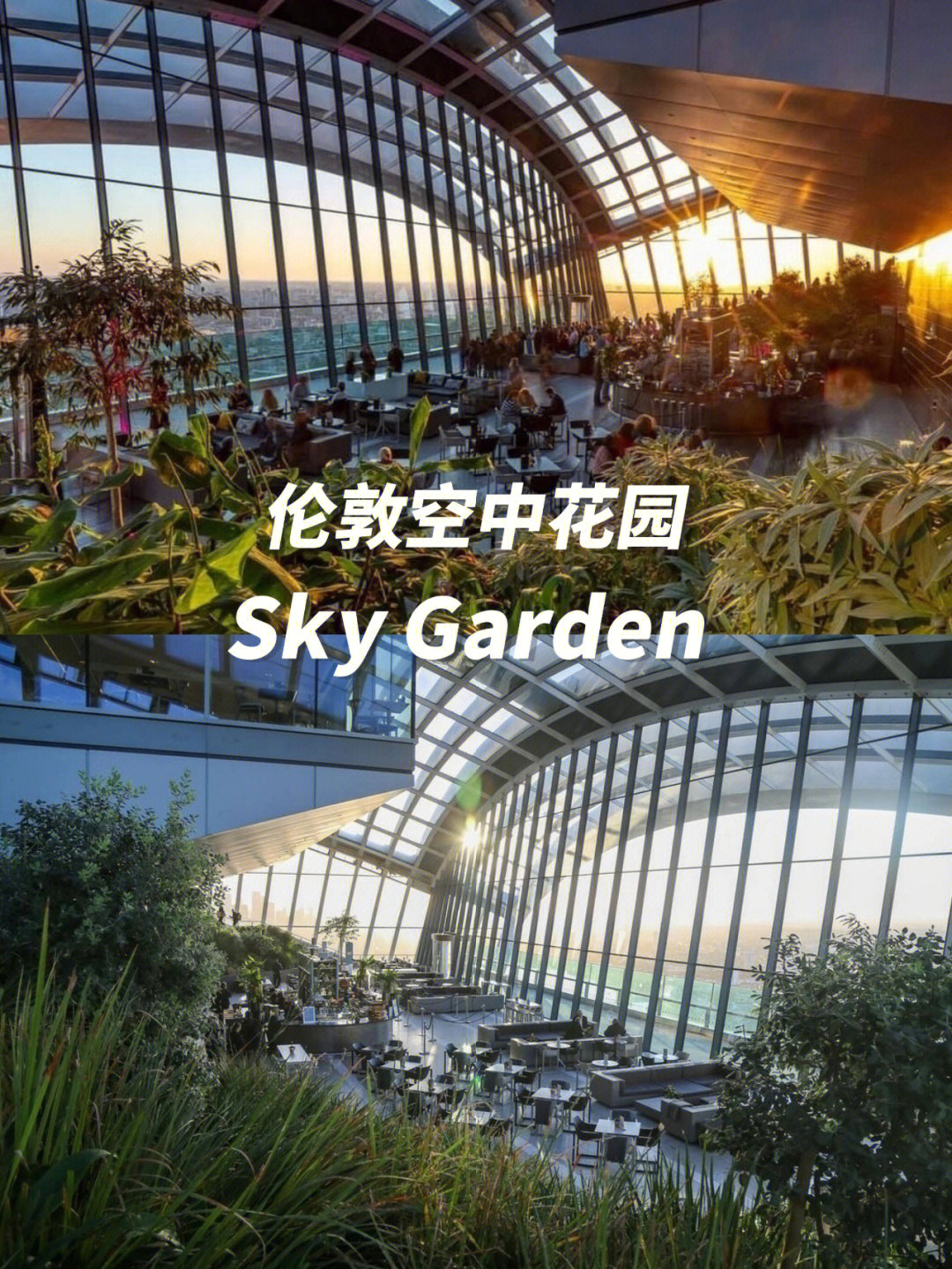 伦敦空中花园skygarden俯瞰伦敦