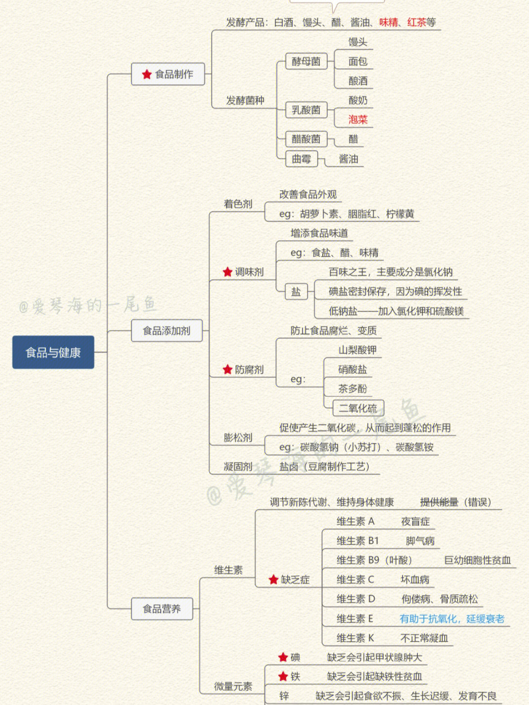 馒头的来历思维导图图片