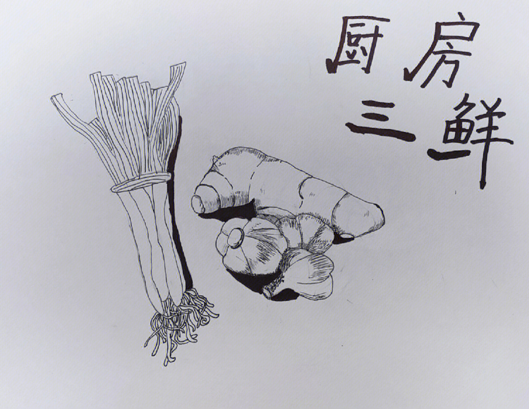 葱姜蒜线描写生三年级