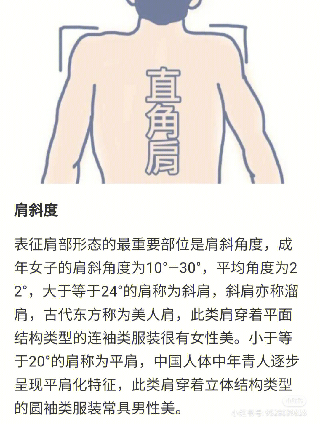 肩胛骨下回旋综合征