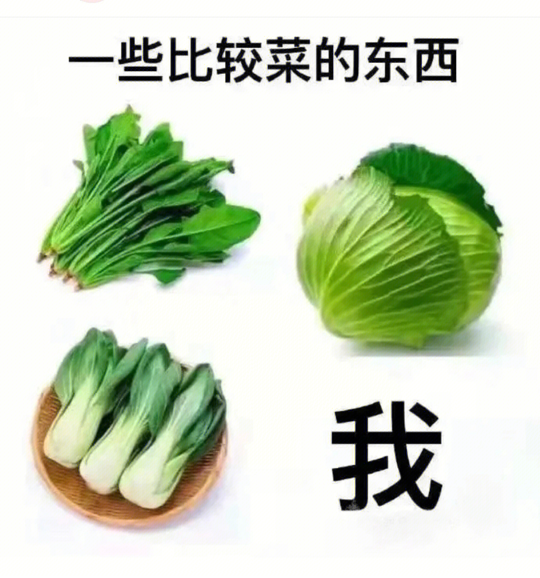 炒股被妈妈说我菜