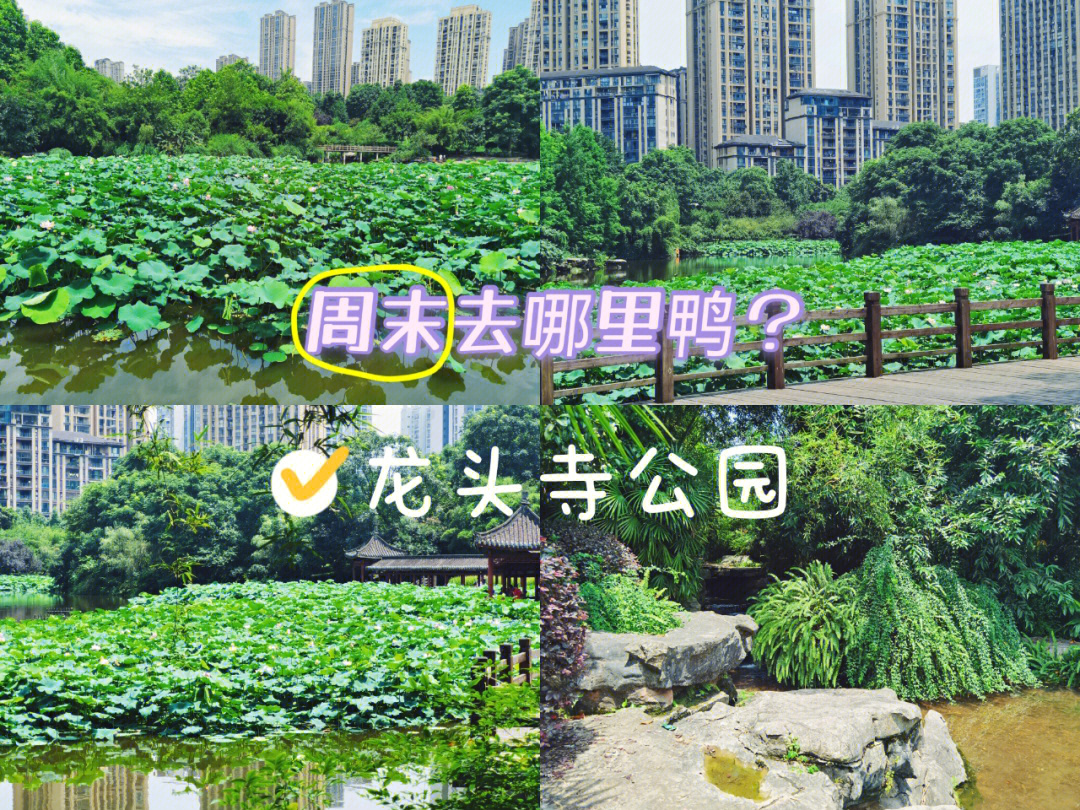 重庆龙头寺公园地图图片