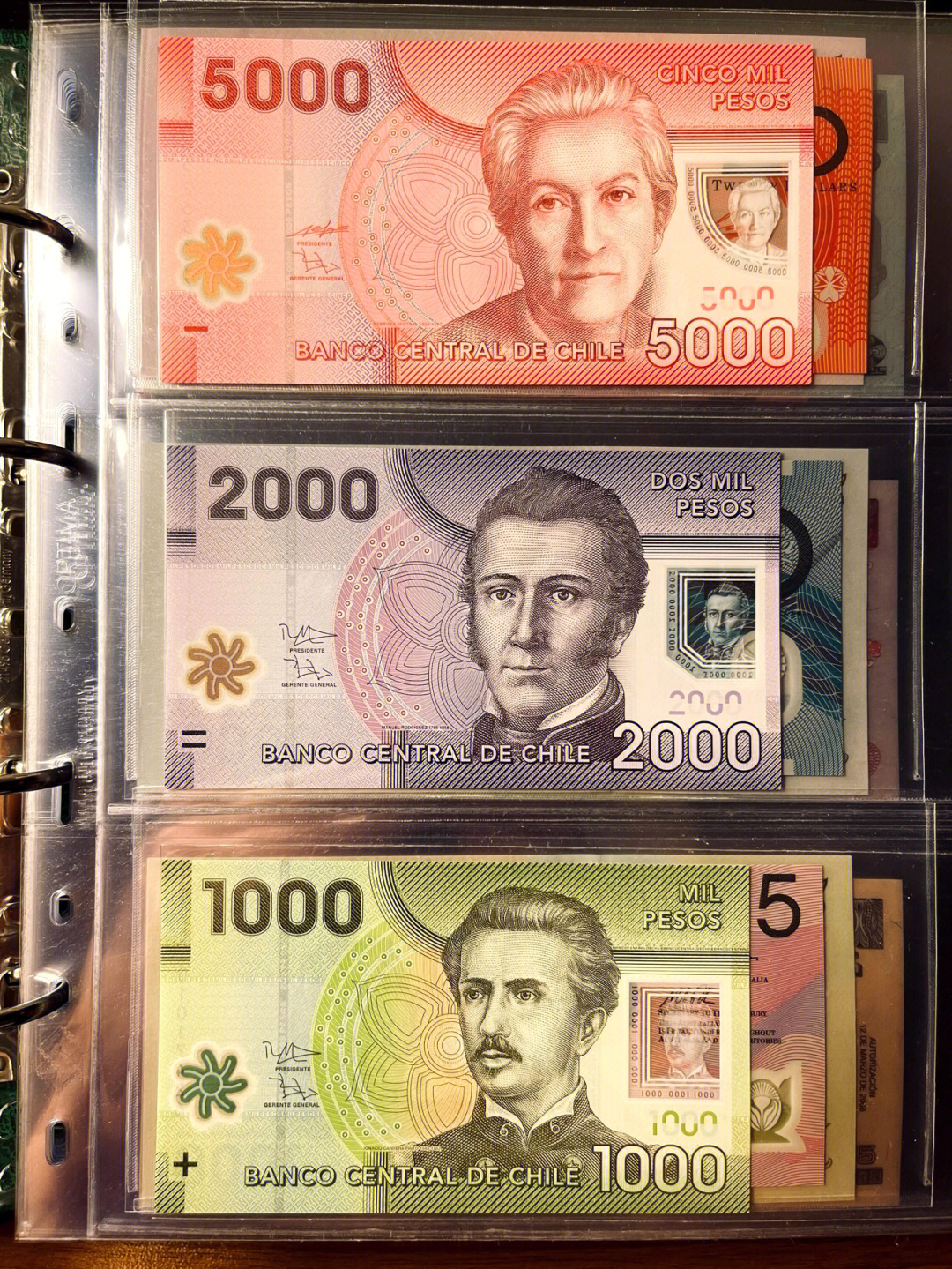 智利带你看世界纸币关注持续更新