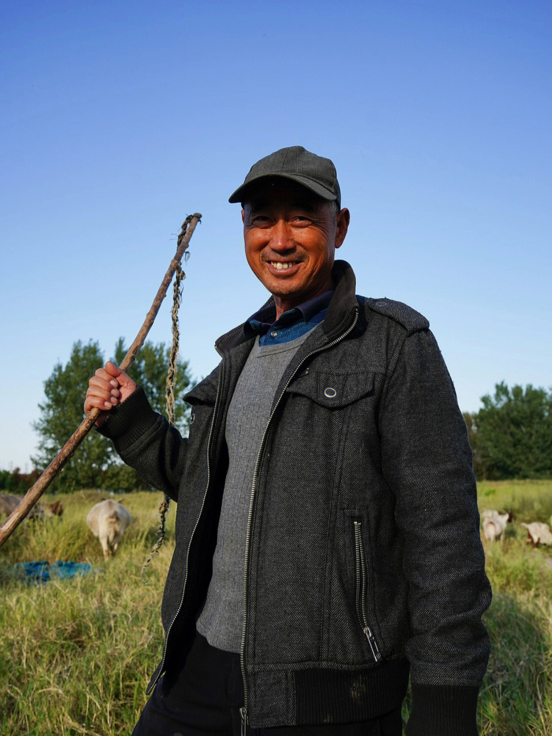 黑龙江大牧人图片