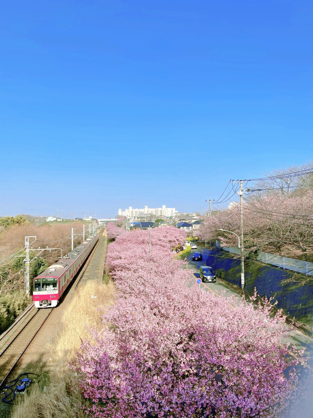 三浦海岸路图片