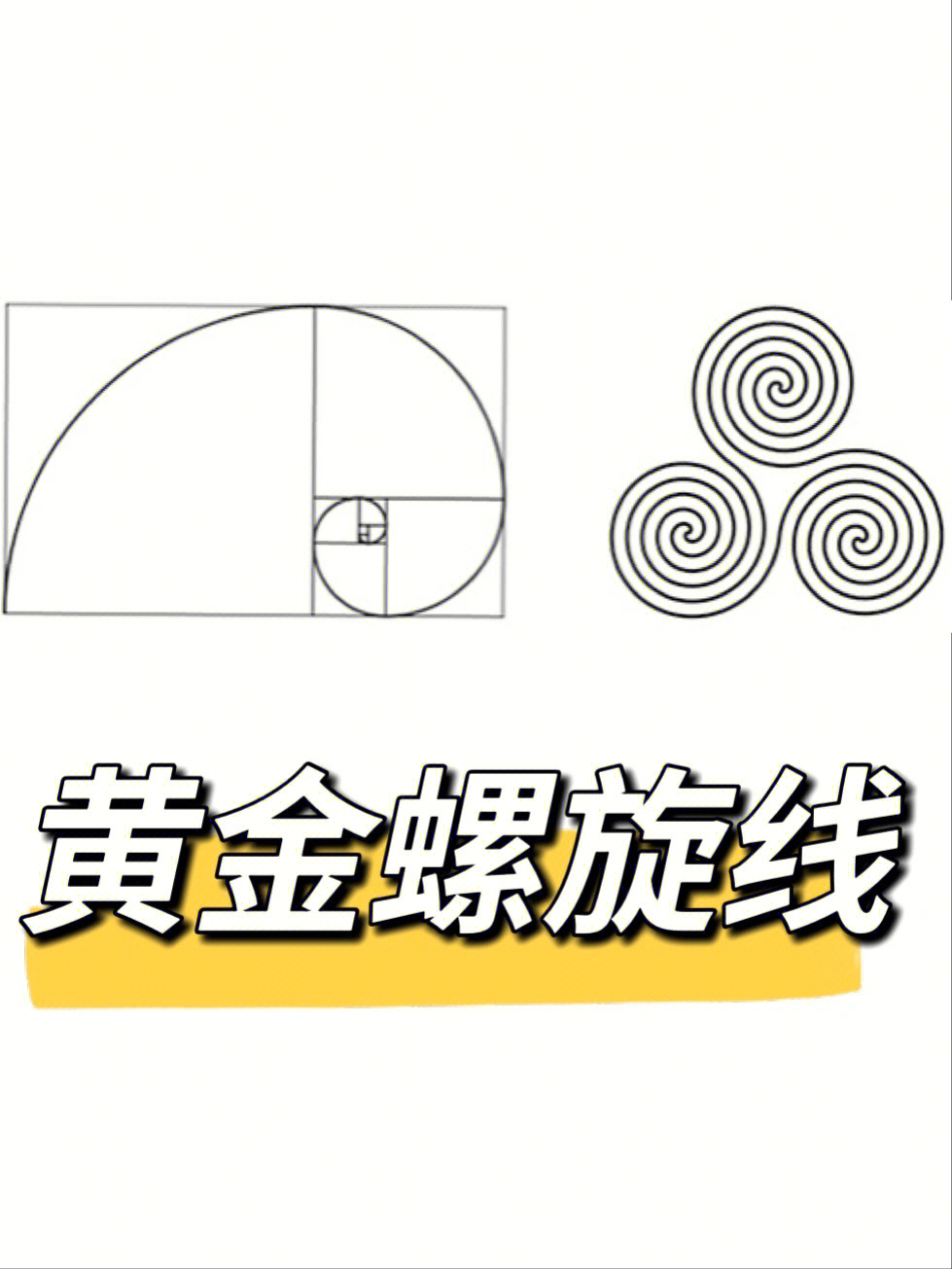 斐波那契螺旋线logo图片