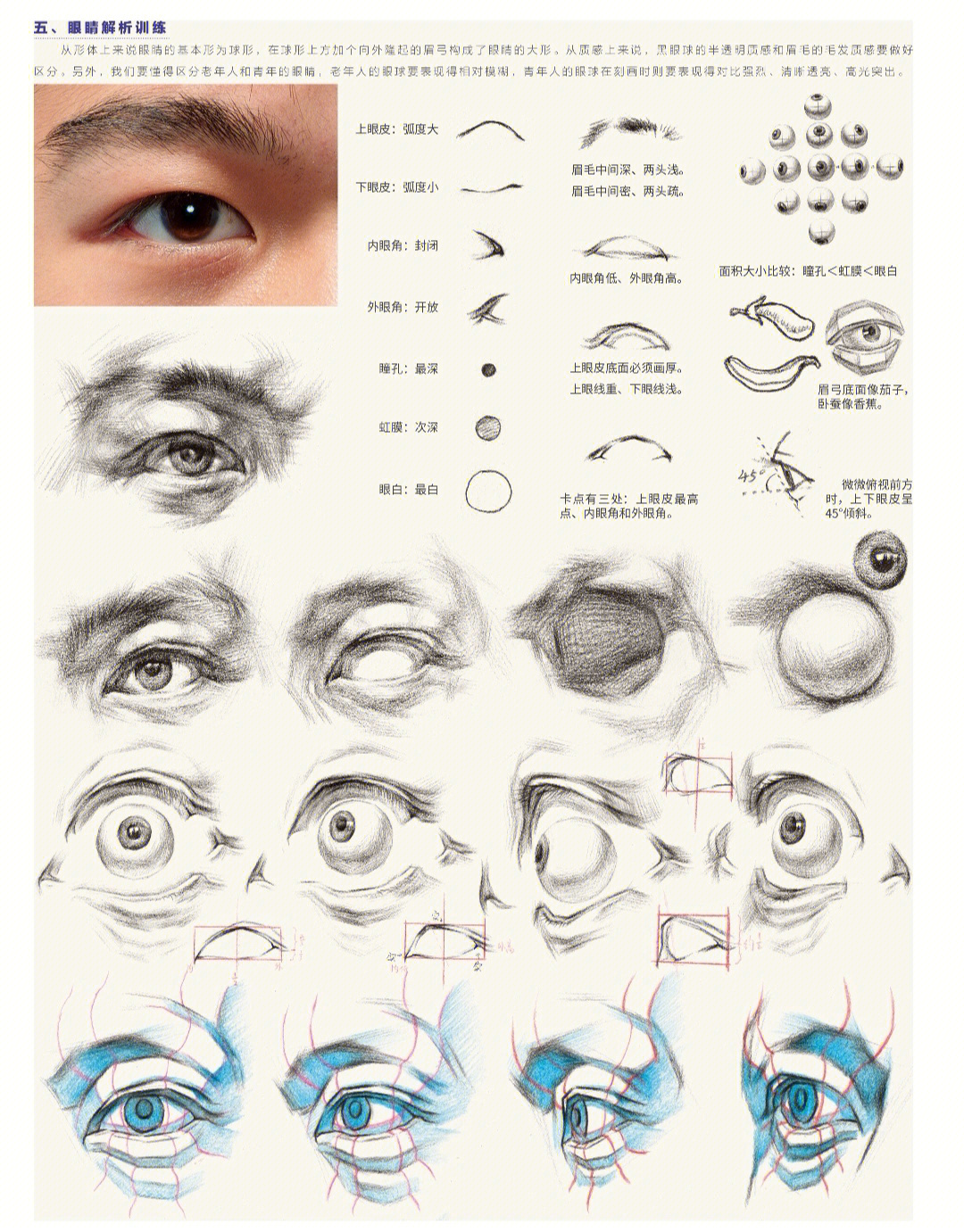 素描人头结构线图片