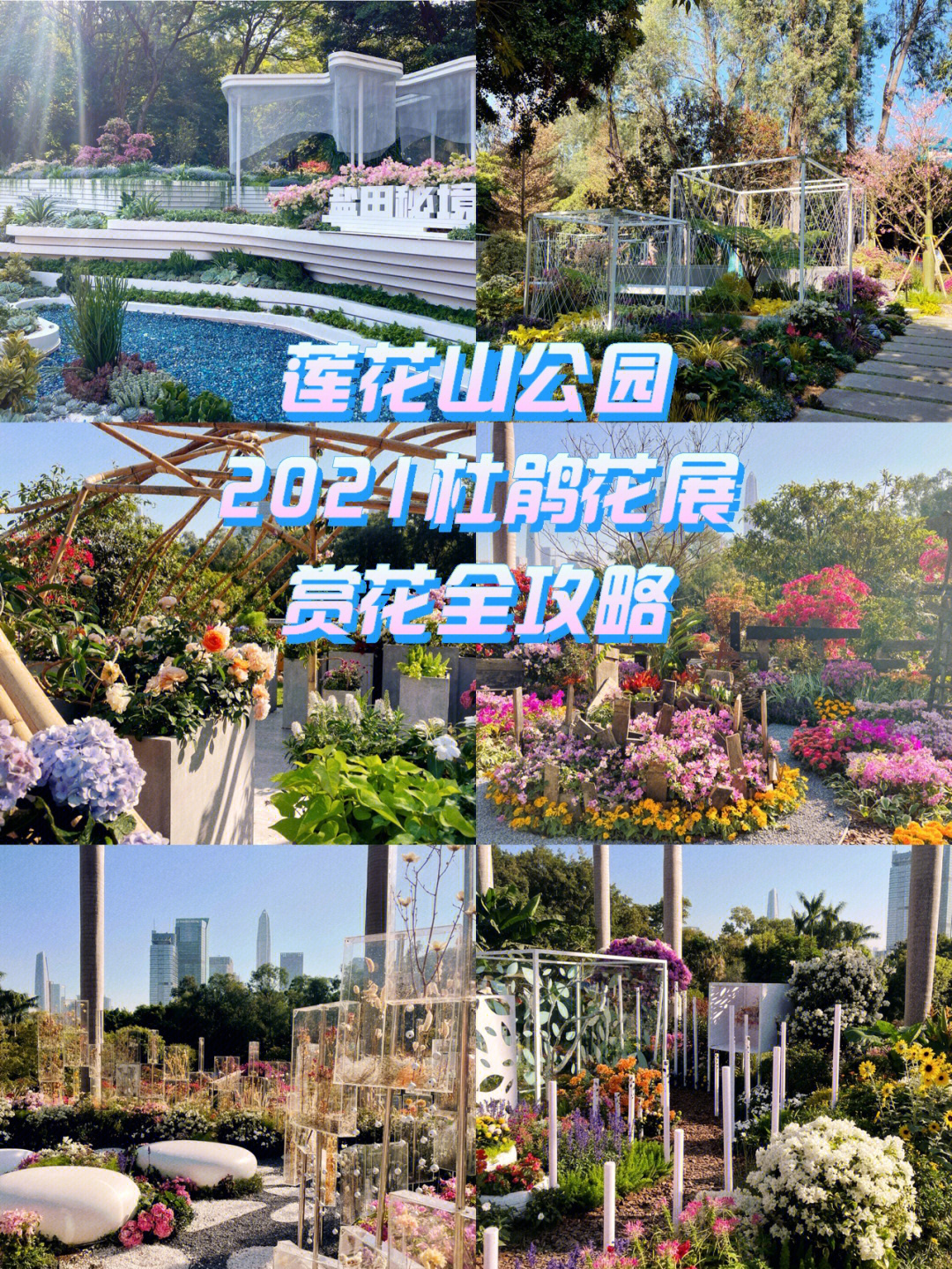 常州杜鹃花展地图图片