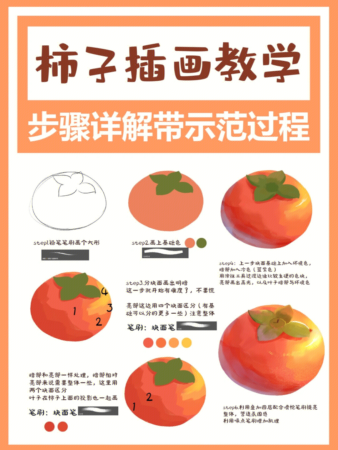 柿子结构图及名称图片