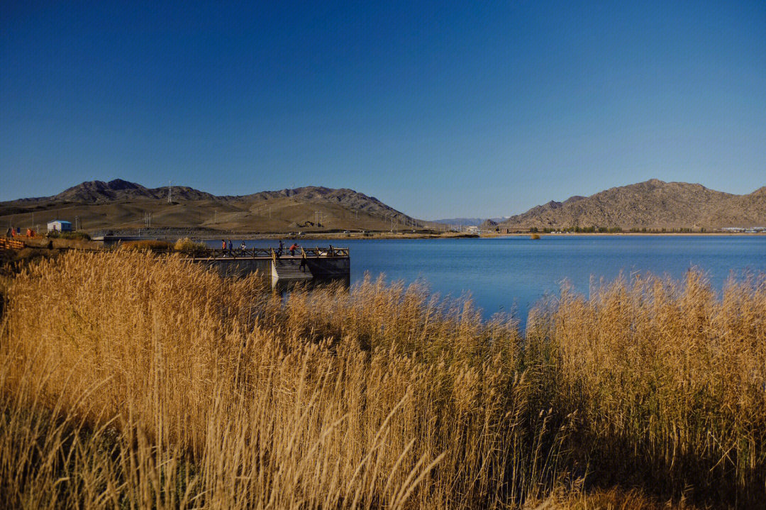 旅途记录新疆旅途第一站可可苏里湖