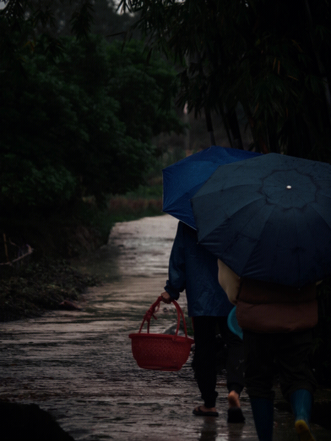 下雨为别人撑伞的图片图片