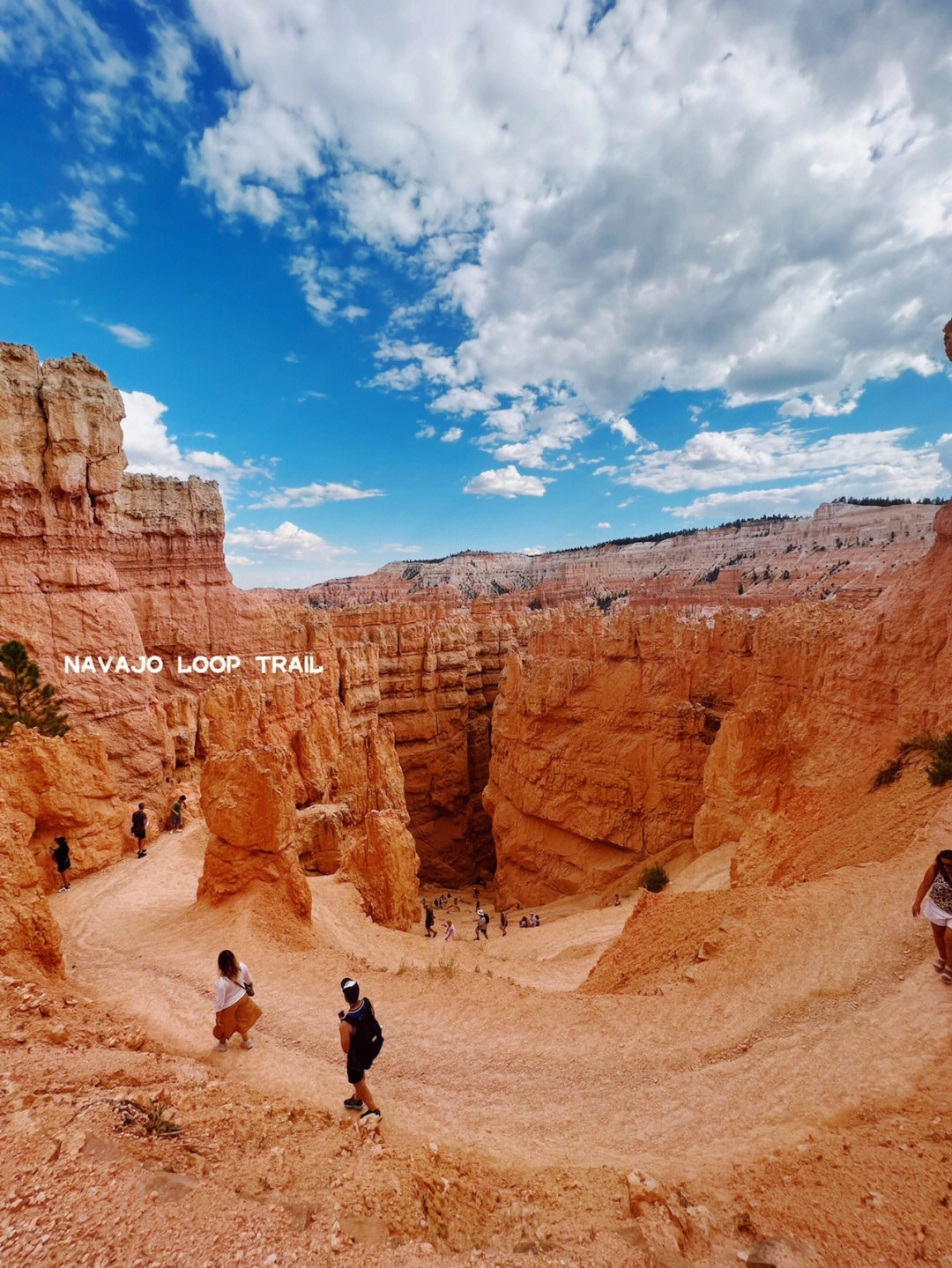 brycecanyon布莱斯峡谷国家公园