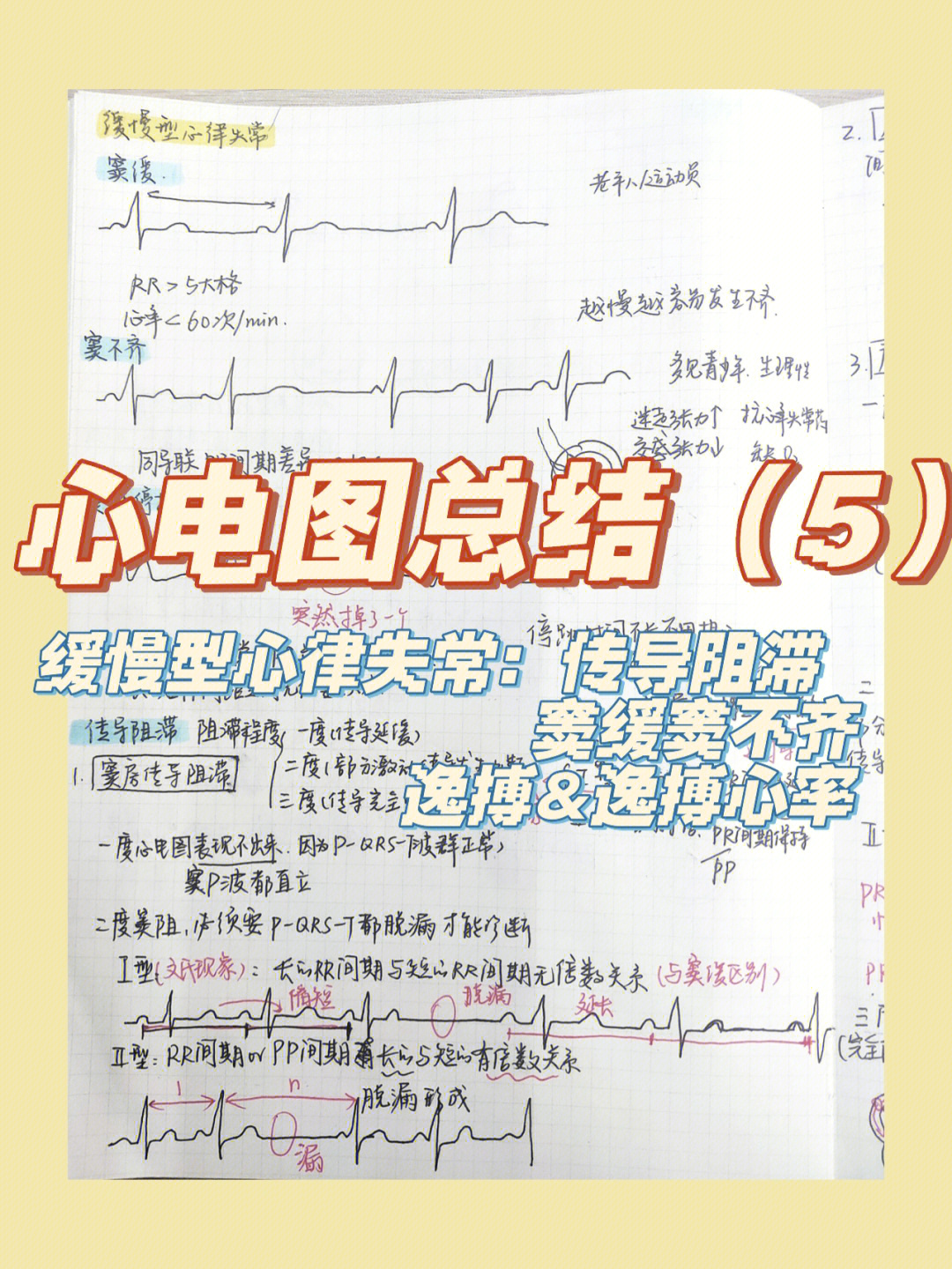 心电图室医师年终总结图片