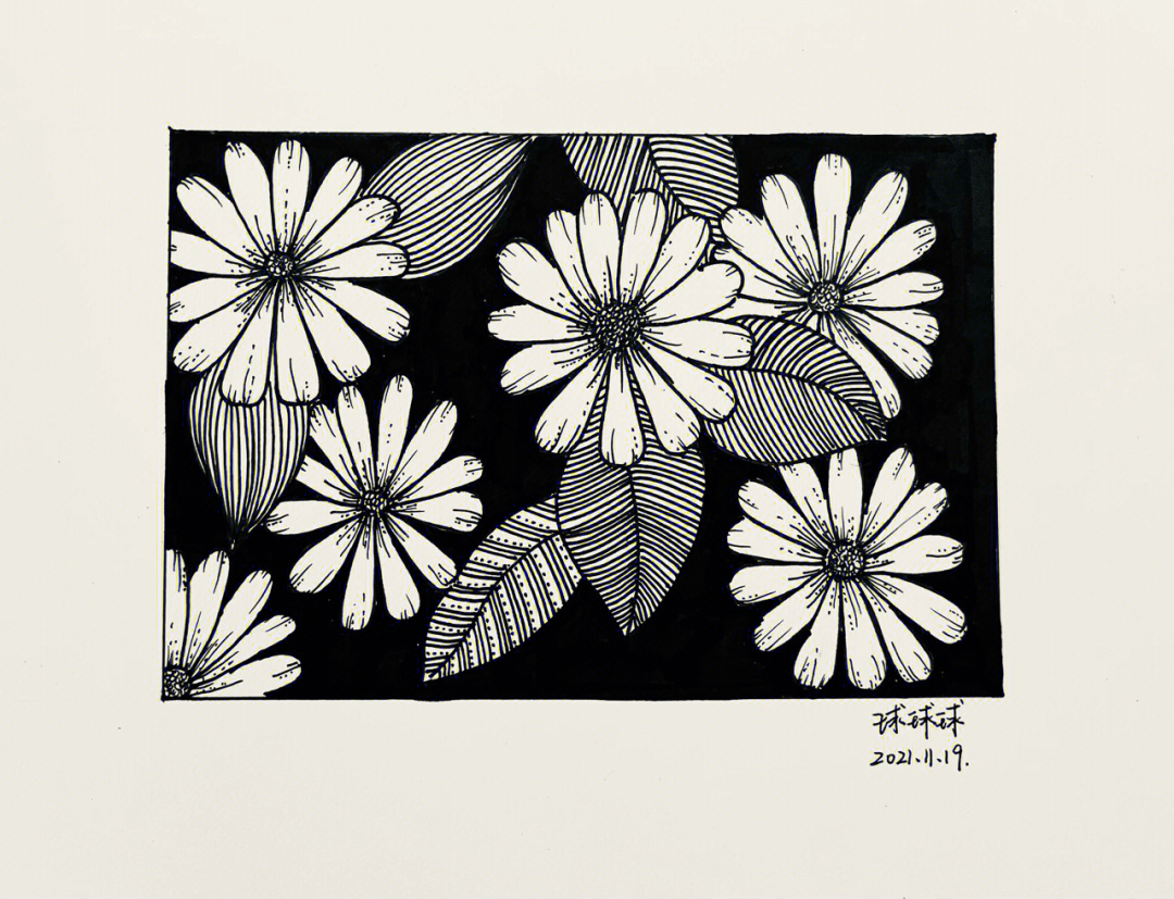 黑白装饰画花卉