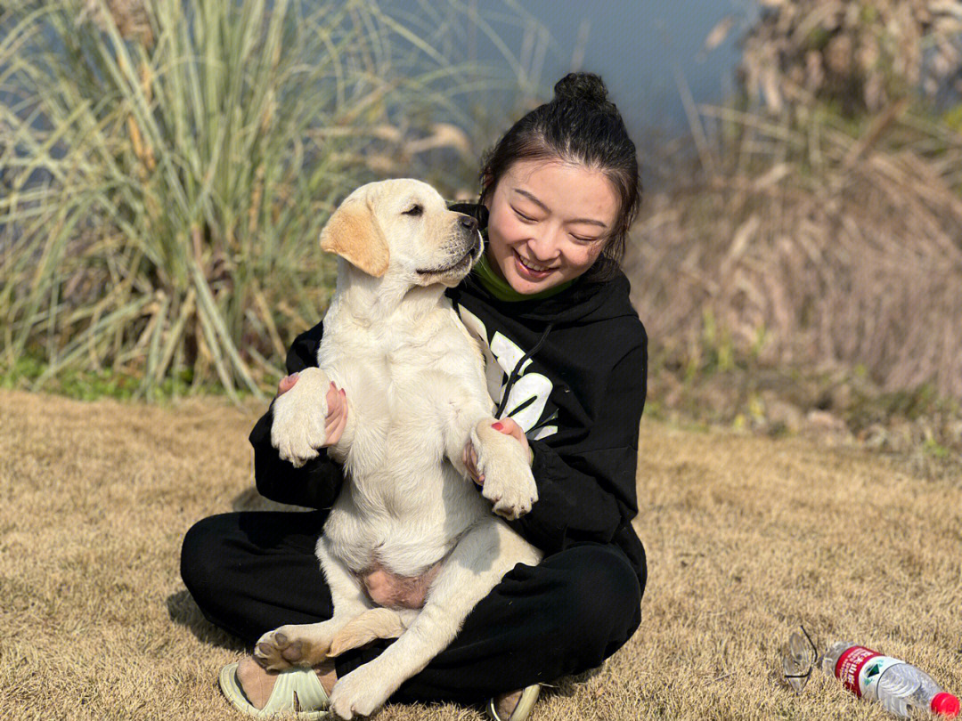 小七的房车生活女主角图片