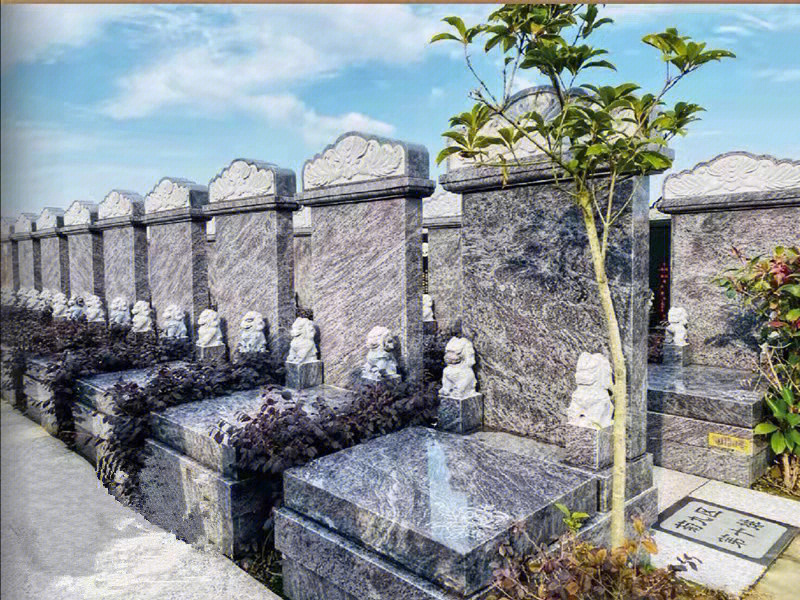 上海市奉贤滨海墓地图片